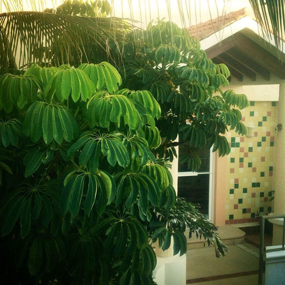 Marisol Hotel Boutique San José del Cabo 외부 사진